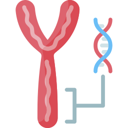 chromosoom icoon