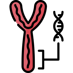 chromosome Icône