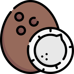 Coconut icon