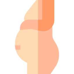 grávida Ícone