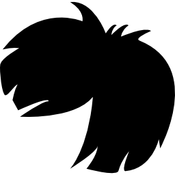 pruikvorm kort zwart haar icoon