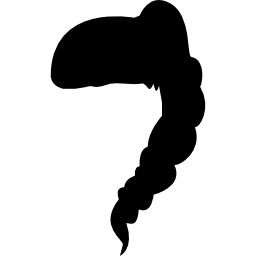 forma di capelli lunghi femminili su un lato icona