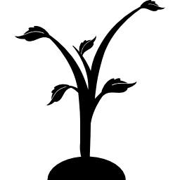 nuevo árbol creciendo icono