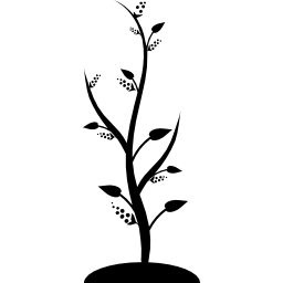 giovane albero che cresce verticale icona