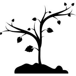 a forma di albero icona