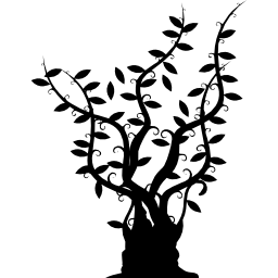 albero dal tronco grossolano con rami lunghi e sottili con foglie lungo tutta la sua estensione icona