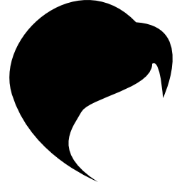 forma dei capelli icona