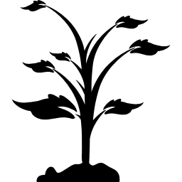 Plant on ground icon