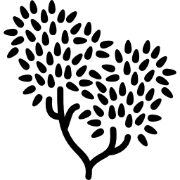 Tree with leaves foliage icon