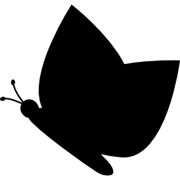schwarze silhouette des schmetterlings von der seitenansicht icon