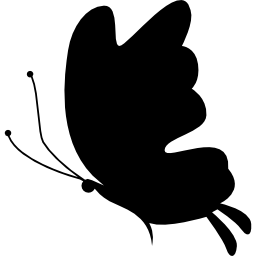 Beautiful butterfly silhouette icon