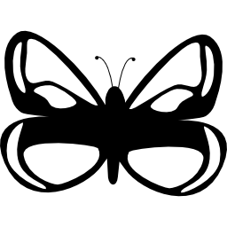 Butterfly design icon