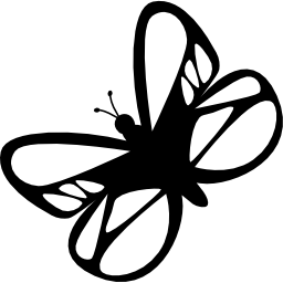 Beautiful butterfly icon