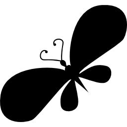 Butterfly with big frontal wings icon