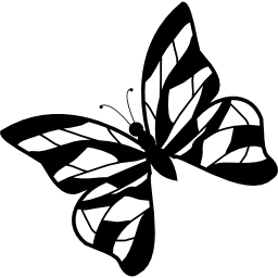 Butterfly design with stripes icon