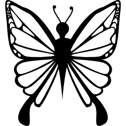 vista dall'alto del design a farfalla femminile icona