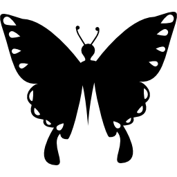 Butterfly black shape insect top view icon