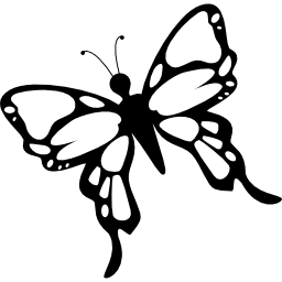 Butterfly with detailed wings icon