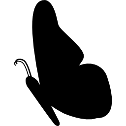 silhouette de papillon vers la gauche Icône