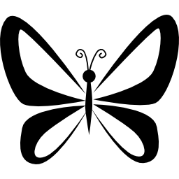 Butterfly with wings perspective from top view icon