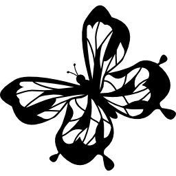 schmetterling icon