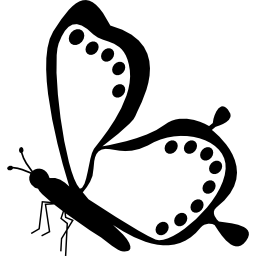 farfalla vista laterale con puntini ai bordi delle ali icona