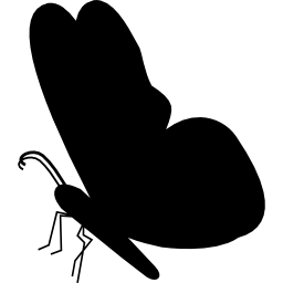 forma a farfalla nera dalla vista laterale icona