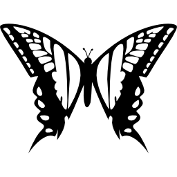 diseño de mariposa de dos alas grandes desde la vista superior icono