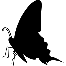 silueta de vista lateral negra de mariposa icono