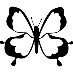 vlinder bovenaanzicht ontwerp icoon