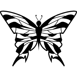 diseño de mariposa desde la vista superior icono