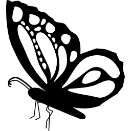farfalla bella vista laterale forma con disegno ornamentale sulle ali icona