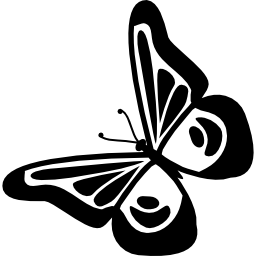 vista superior do desenho da borboleta girada para a esquerda Ícone
