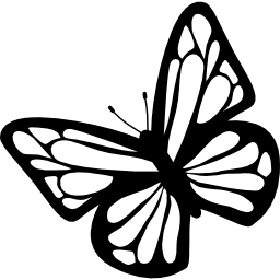 Вид сверху бабочка иконка