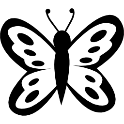 Butterfly with spots on wings from top view icon