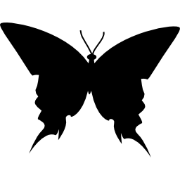 vista superior de la silueta negra de mariposa icono