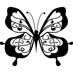 Cute butterfly top view icon