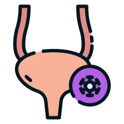 膀胱炎 icon