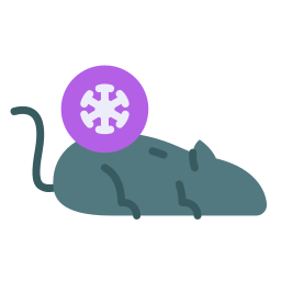 esquema de rata icono