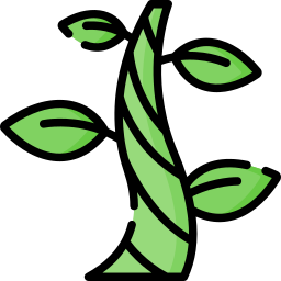 Beanstalk icon