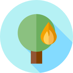 불타는 나무 icon