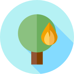 brennender baum icon