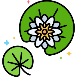 Water lily icon