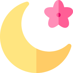 Moon icon