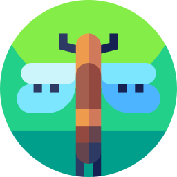 Four spot skimmer dragonfly icon