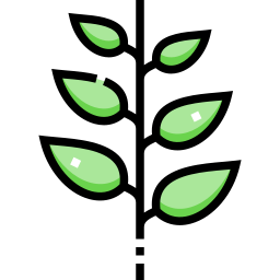 grüner tee icon