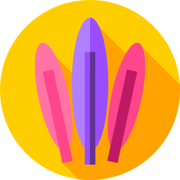 Feathers icon