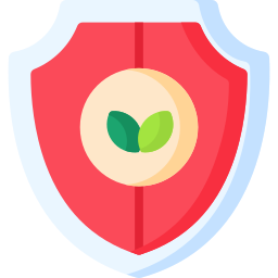 Shield icon