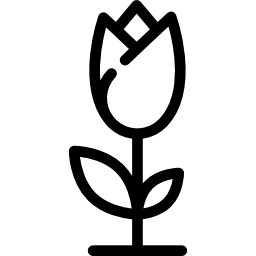 Flower icon