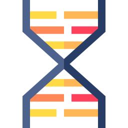 adn Icône